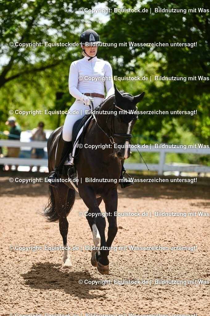20230716_03_Dressurprfg. Kl.L - Tr._0047 | equistock