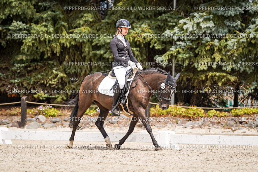 DSC03827 | Pferdegrafie