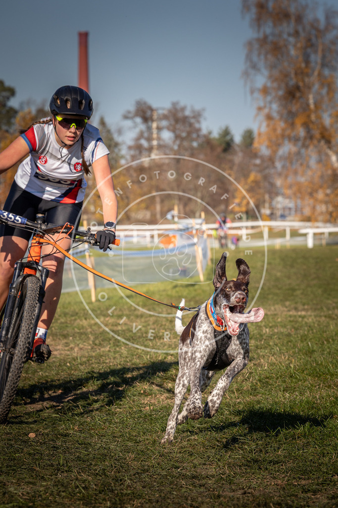 CaniXpix_0L8A6116 | Hundefotografie, Tierfotograf, Pfotenfotografie, Fotoshooting Hund, Hunde Portrait, Hundesport, Hundeportraits, Heideshooting, Hunde, Sportfotograf, Hundefotograf, Turnierhundsport, THS,  - Realisiert mit Pictrs.com