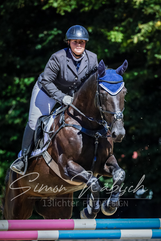 20250906-_3LI4205 | Tierfotografie Pferde, Hunde, Katzen, Haustiere.
Turnierfotografie Reitturniere, Reiten, Springreiten, Dressur in Hanau, dem Main-Kinzig-Kreis und dem Rhein-Main- Gebiet um Frankfurt