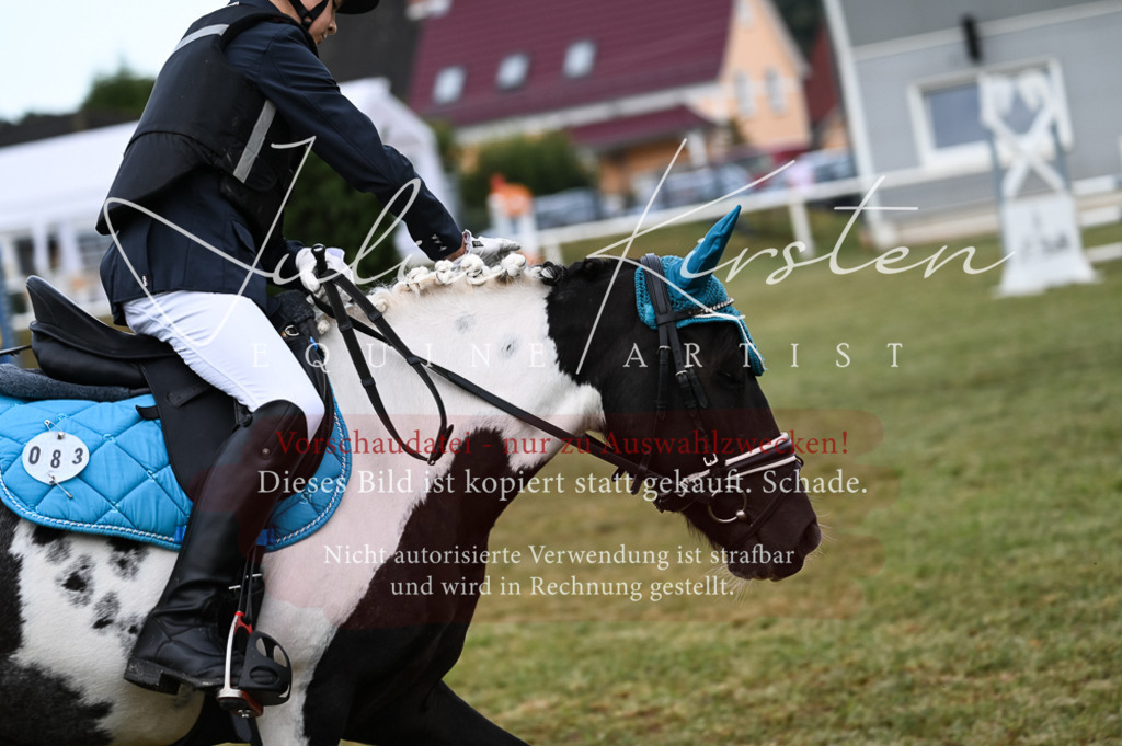 DSC_5481 | Pferde- und Turnierfotografie in Westsachsen. Pferdeportraits, Auftragszeichnungen und intuitive Kunst.