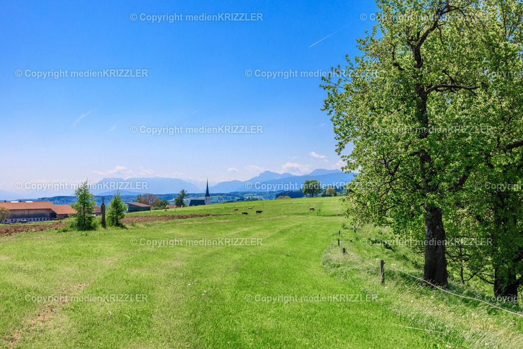 _J3A7783 | Am Waginger See - Realisiert mit Pictrs.com