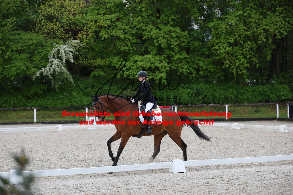 A40A9316 | lmwpictures - Realisiert mit Pictrs.com