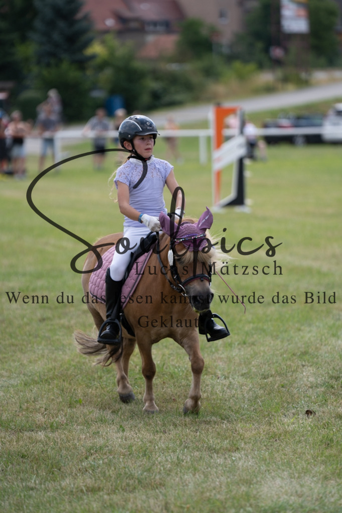 A7V00363 | Pferdefotograf