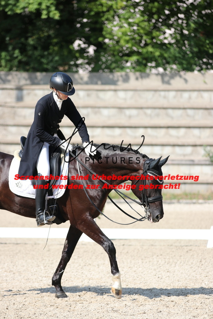 IMG_9254 | lmwpictures - Realisiert mit Pictrs.com