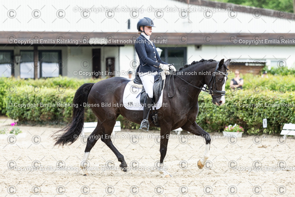 CL5A5912-2 | Emilia Reinking Fotografie - Realisiert mit Pictrs.com