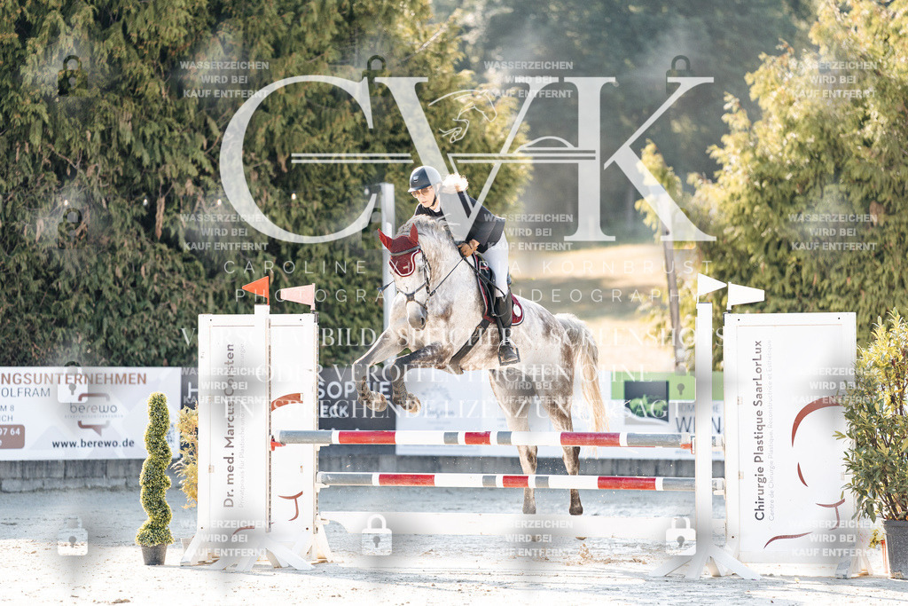 CK907474 | Turnierfotografie Pferdefotografie Trier Rheinland-Pfalz Pferdesport Reitsport Tierfotografie Sportfotografie Pferdevideo Pferdevideografie Equestrianvideography equestrianphotography  - Realisiert mit Pictrs.com