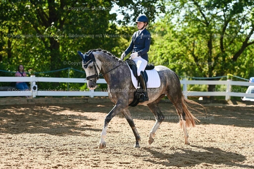 20230715_06_Dressurpferdeprfg. Kl.A_0317 | equistock