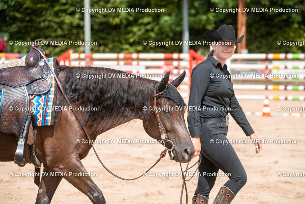 ZS3_9534 | dv-media-shop - Realisiert mit Pictrs.com