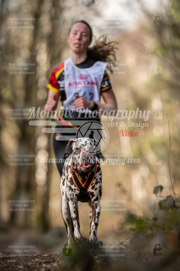 SPA_2023_SAM_CCK-201 | PayLife