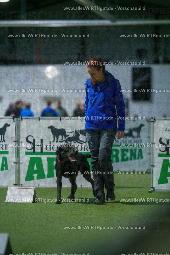 7R504120 | Professionelle Tierfotografie in Mönchengladbach von Daniel Wirth (allesWIRTHgut). Liebevolle & natürliche Bilder von Hunden & Katzen für unvergessliche Erinnerungen.