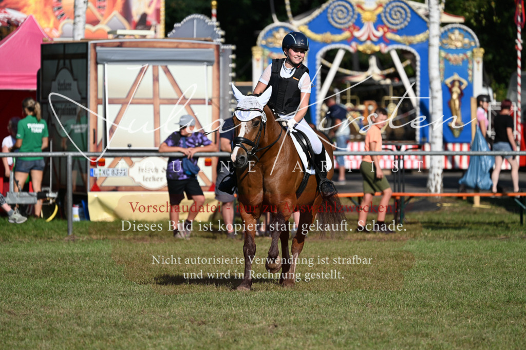 DSC_4982 | Pferde- und Turnierfotografie in Westsachsen. Pferdeportraits, Auftragszeichnungen und intuitive Kunst.