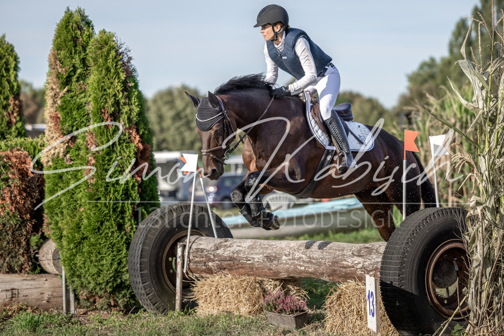 20250907-_3LI8635 | Tierfotografie Pferde, Hunde, Katzen, Haustiere.
Turnierfotografie Reitturniere, Reiten, Springreiten, Dressur in Hanau, dem Main-Kinzig-Kreis und dem Rhein-Main- Gebiet um Frankfurt
