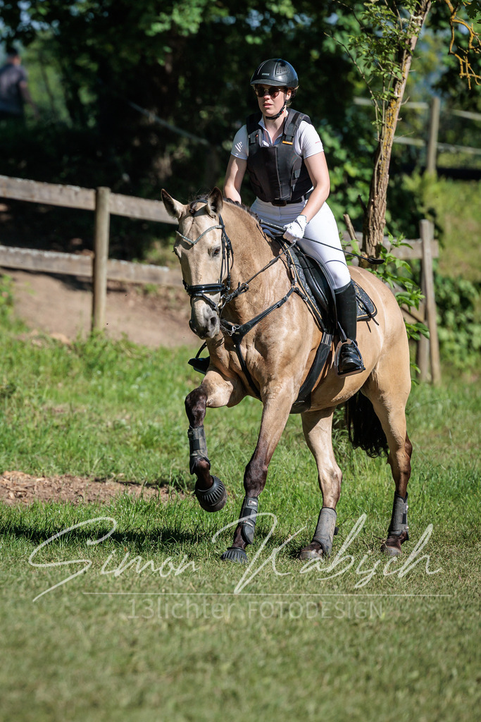 20260523-_3LI6567 | Tierfotografie Pferde, Hunde, Katzen, Haustiere.
Turnierfotografie Reitturniere, Reiten, Springreiten, Dressur in Hanau, dem Main-Kinzig-Kreis und dem Rhein-Main- Gebiet um Frankfurt