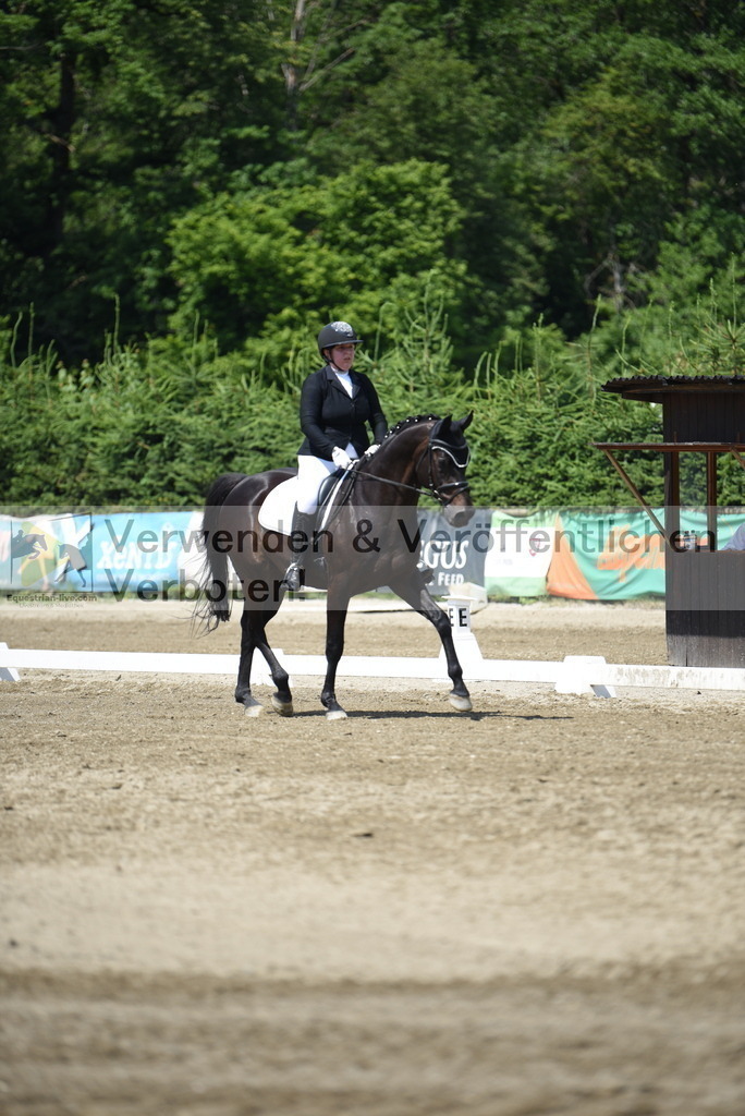 DSC_8760 | equestrian-live-com