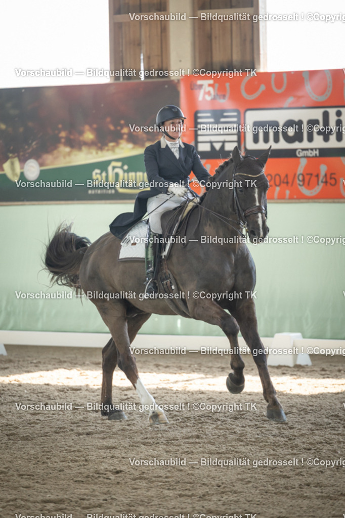 _D5A1848 | Emotionale Pferde- & People-Fotografie rund um Heidelberg, Leimen & Umgebung. Natürliche Fotos von Pferd, Mensch & Familie. Jetzt Termin sichern!