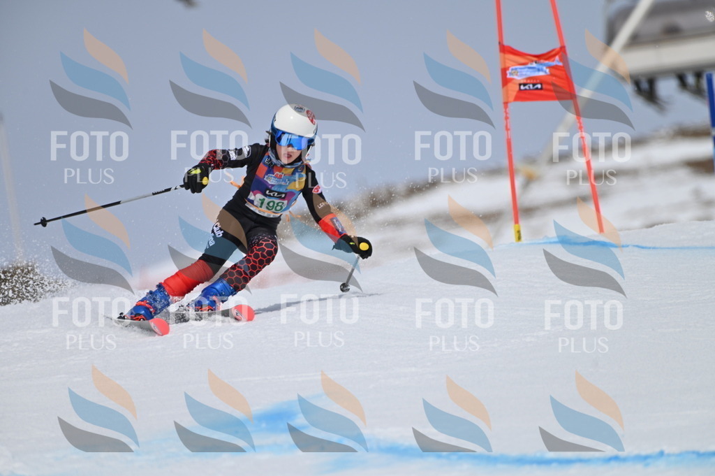 BGV_3806 | holidayphoto