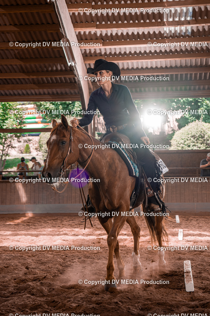 NE100608 | dv-media-shop - Realisiert mit Pictrs.com