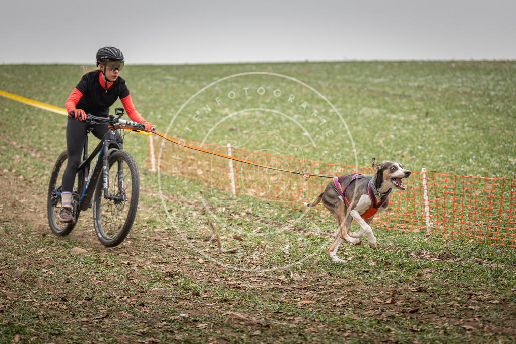 Pfotenfotografie_DV3A2663 | Hundefotografie, Tierfotograf, Pfotenfotografie, Fotoshooting Hund, Hunde Portrait, Hundesport, Hundeportraits, Heideshooting, Hunde, Sportfotograf, Hundefotograf, Turnierhundsport, THS,  - Realisiert mit Pictrs.com