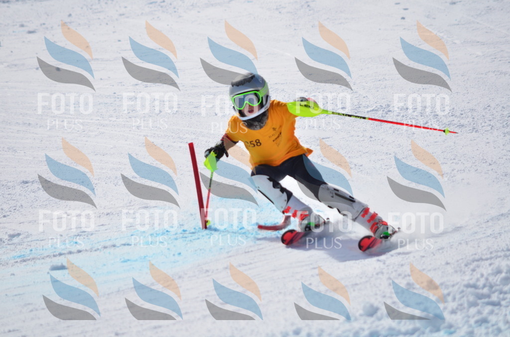 C9827 | holidayphoto