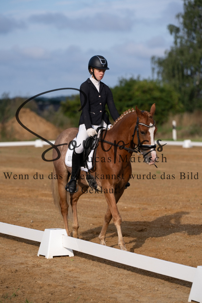 A7V03690 | Turnier/Reitfotograf
