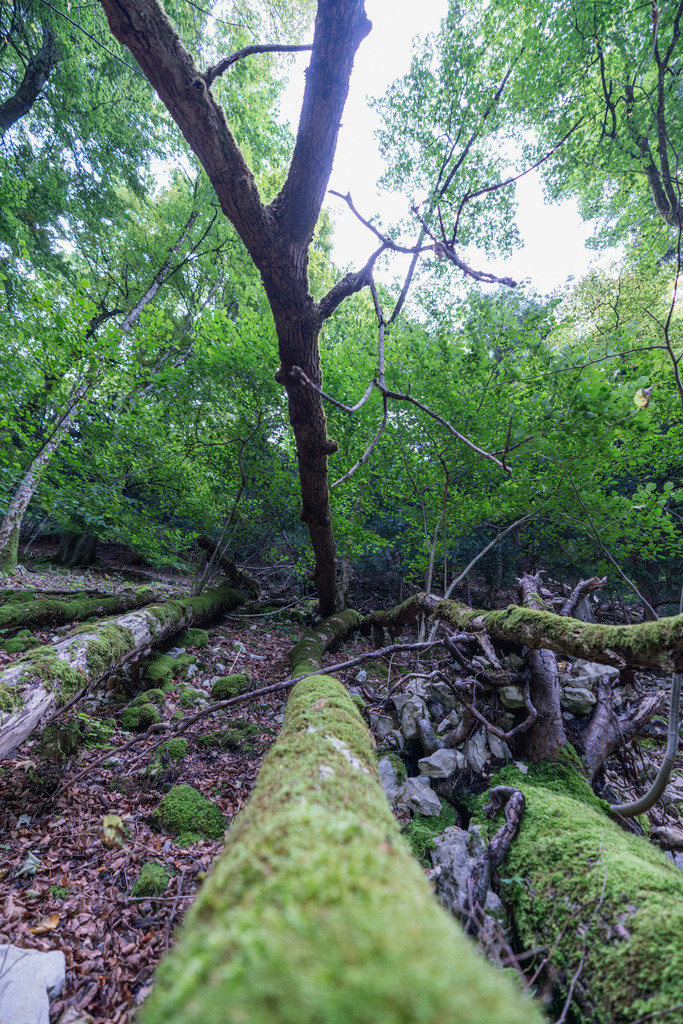 ZD250916093708 | Fotoshop von zweidimensional Fotografie. Ihr Fotograf im Aargau. Abzüge von Ihrem Fotobox Event bestellen.Abzüge von Ihrem Hochzeit bestellen.Abzüge von Ihrem Schulfotograf bestellen.