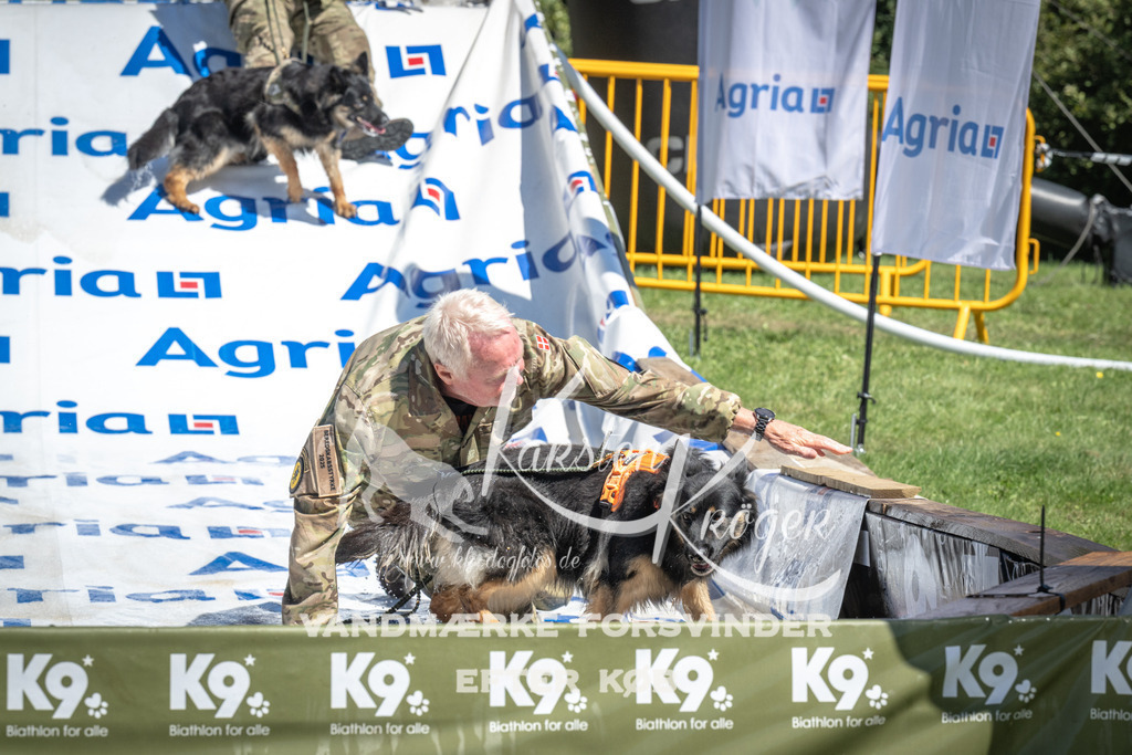 1312_ZZ98839 | kk-dogfotos