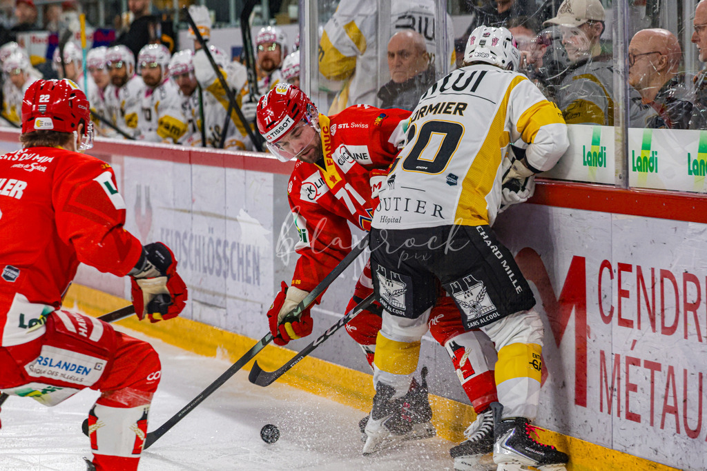 EHCB vs HCA 20260127_wb-9221 | Sportbilder, Sportfotograf, Hochzeits- und Eventfotografin, Flugshows, Portraits und Tiershooting, Aviation, Downhill, Nationalleague, Swissleague, International
