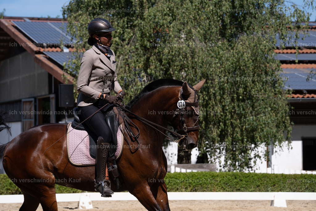 WL_DR_58_sinafilmart_IN07662 | working equitationturnier fotograf videograf stoibphotography marixx film working equitation deutschland reitsport turnierfotografie eventfotografie equestrian events