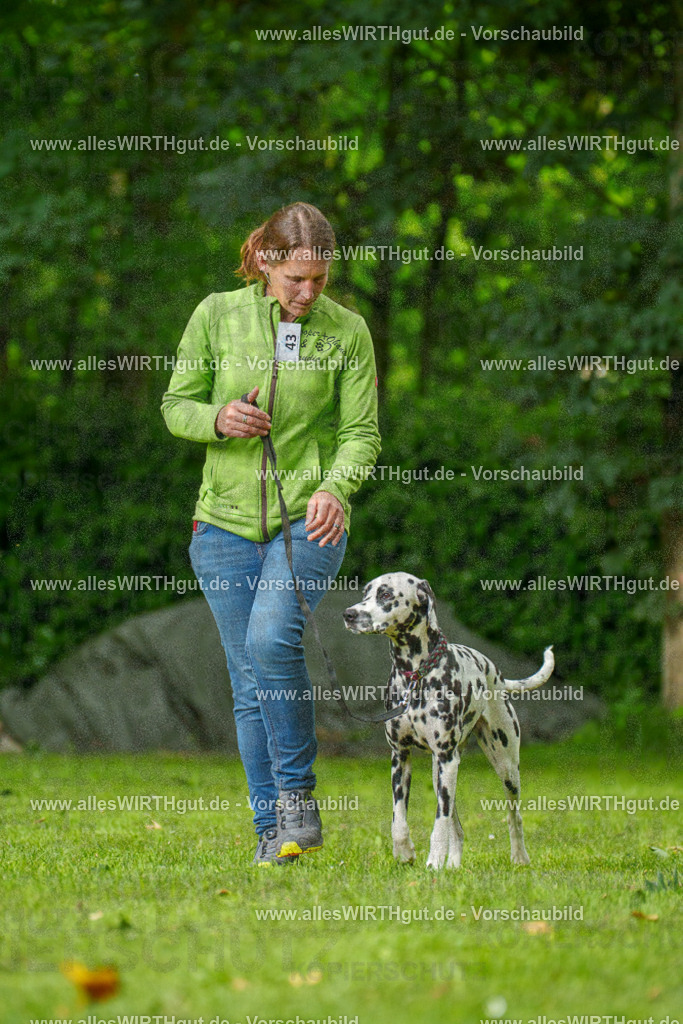 @allesWIRTHgut_Tierfotografie - www.allesWIRTHgut.de - 135016-7R500032 | Professionelle Tierfotografie in Mönchengladbach von Daniel Wirth (allesWIRTHgut). Liebevolle & natürliche Bilder von Hunden & Katzen für unvergessliche Erinnerungen.