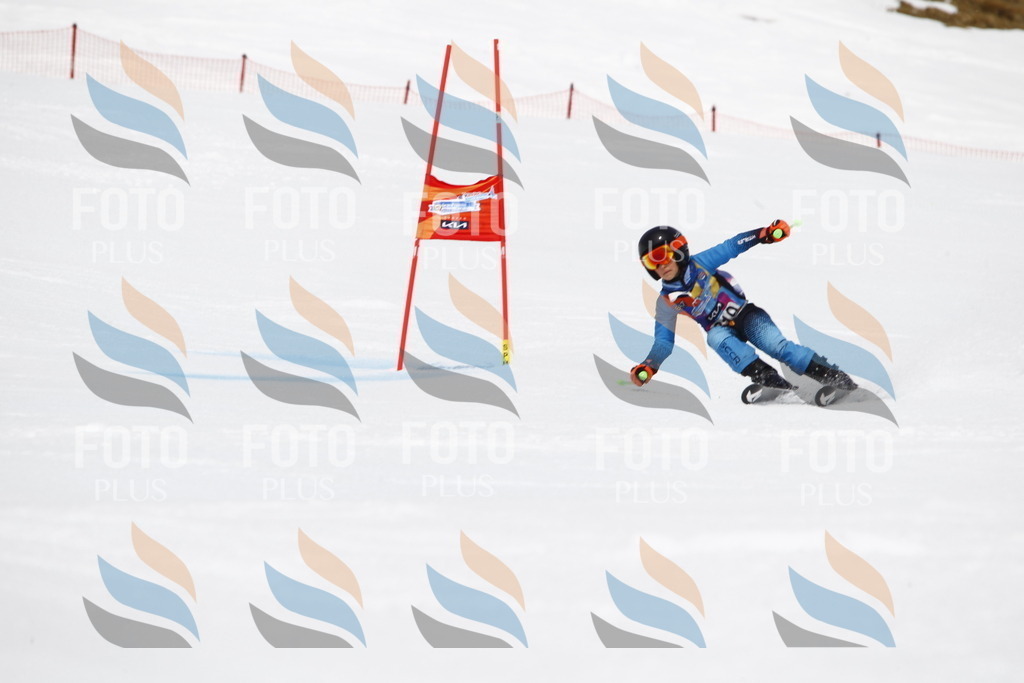 _U3G7696 | holidayphoto