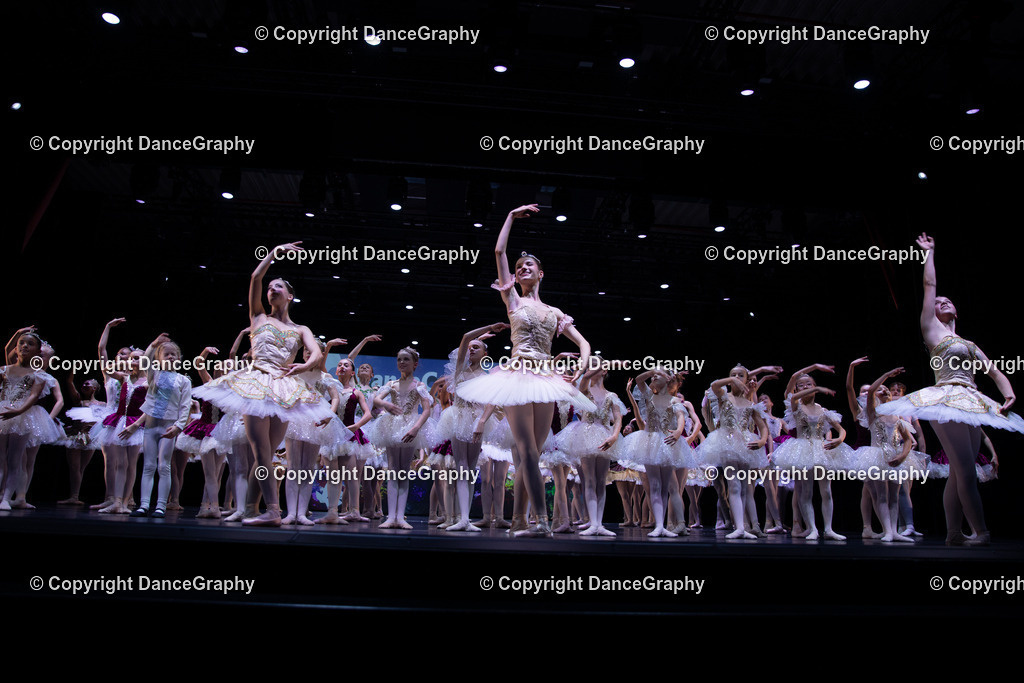 GPHY5942 | DanceGraphy - Realisiert mit Pictrs.com