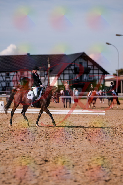 2026_10_03_Siefer-Hof_125737_Z81_46306771 | Professionelle Reitsport-, Turnier- und Eventfotografie von Robert Broda. Galerien mit ausgewählten und bearbeiteten Bildern direkt online ansehen und bestellen.