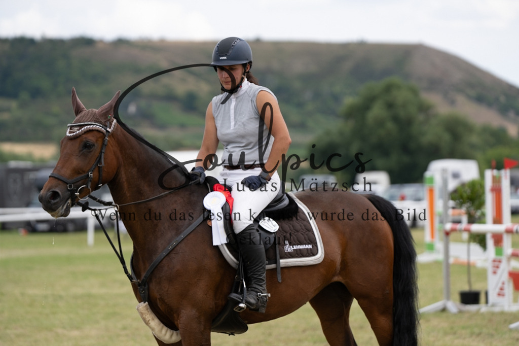 A7V02133 | Pferdefotograf