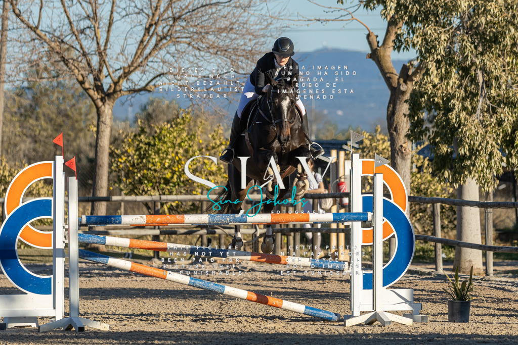 IMG_2333 | s-jay-photography - Realisiert mit Pictrs.com