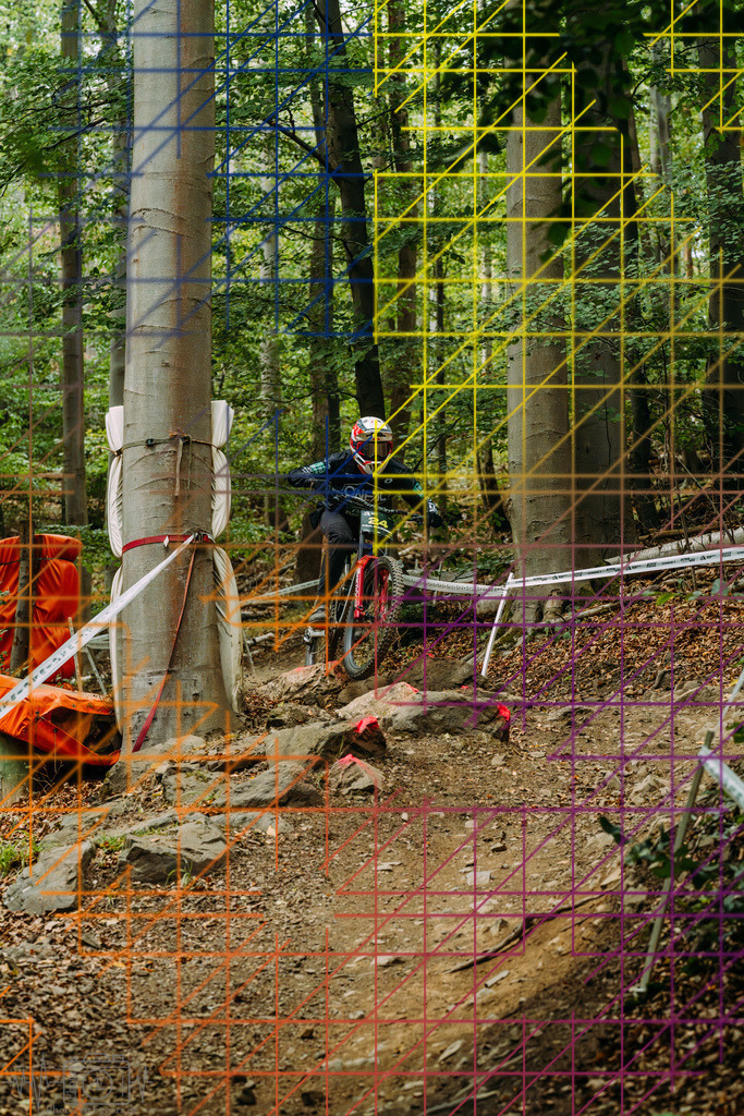PAE-2173 | Einzigartige Fotokunst für dein Zuhause: Entdecke hochwertige Wandbilder, edle Prints und emotionale Motive von Wildlife, Natur und Landschaften - Realisiert mit Pictrs.com