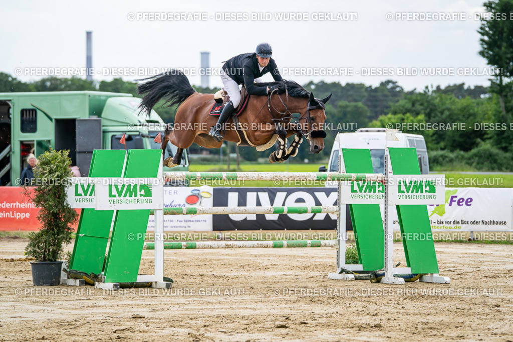 DSC06937 | Pferdegrafie