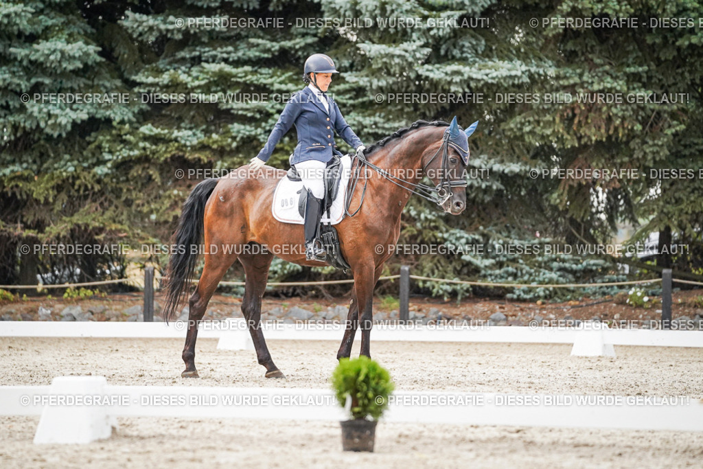 DSC09489 | Pferdegrafie