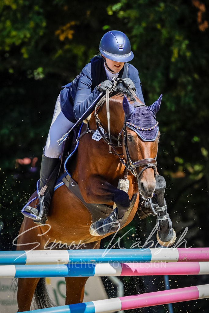 20250906-_3LI4046 | Tierfotografie Pferde, Hunde, Katzen, Haustiere.
Turnierfotografie Reitturniere, Reiten, Springreiten, Dressur in Hanau, dem Main-Kinzig-Kreis und dem Rhein-Main- Gebiet um Frankfurt