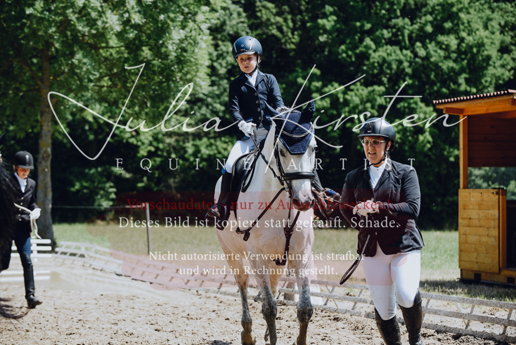 DSC_2152 | Pferde- und Turnierfotografie in Westsachsen. Pferdeportraits, Auftragszeichnungen und intuitive Kunst.