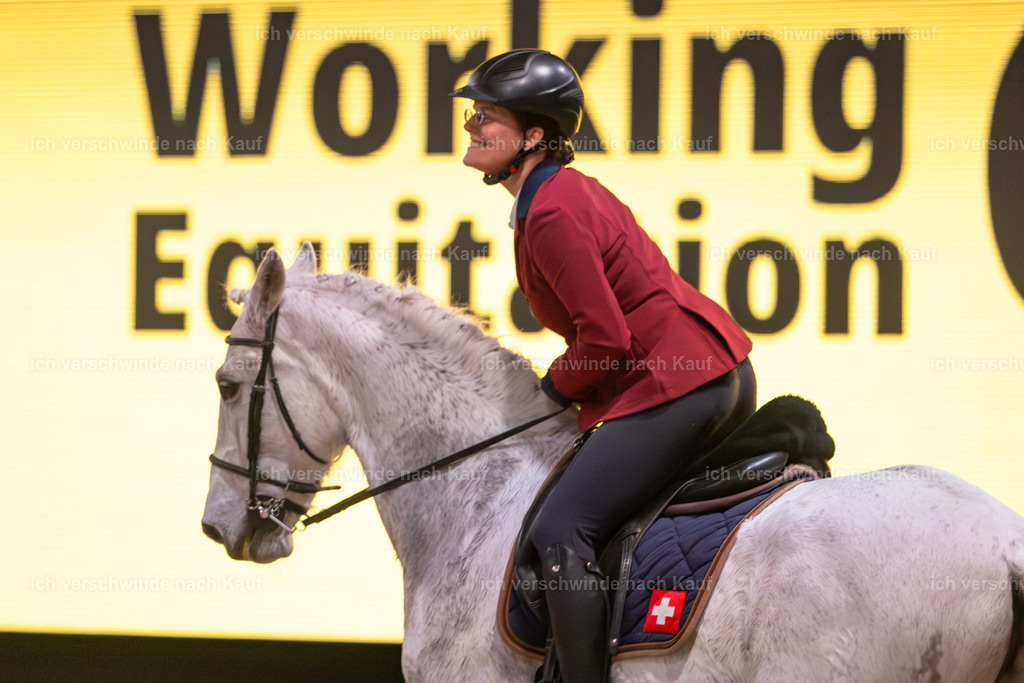 JoseraCup-127 | working equitationturnier fotograf videograf stoibphotography marixx film working equitation deutschland reitsport turnierfotografie eventfotografie equestrian events