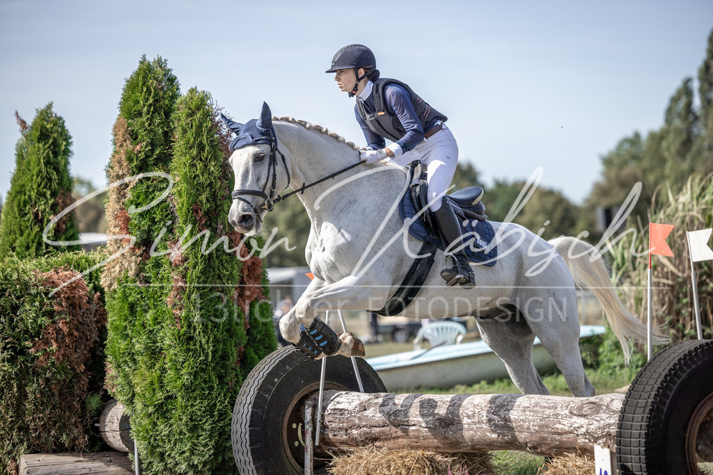 20250907-_3LI9864 | Tierfotografie Pferde, Hunde, Katzen, Haustiere.
Turnierfotografie Reitturniere, Reiten, Springreiten, Dressur in Hanau, dem Main-Kinzig-Kreis und dem Rhein-Main- Gebiet um Frankfurt