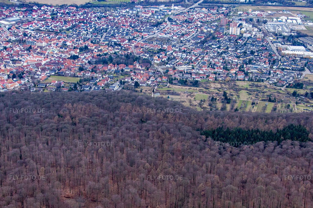 Luftbild: Ortsansicht von Osten in Nußloch im Bundesland Baden-Württemberg in Deutschland. Foto: IMG_24781.jpg vom 27.02.2010 durch Werner Riehm/FLY-FOTO.de