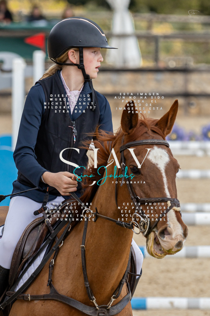 IMG_4687 | s-jay-photography - Realisiert mit Pictrs.com