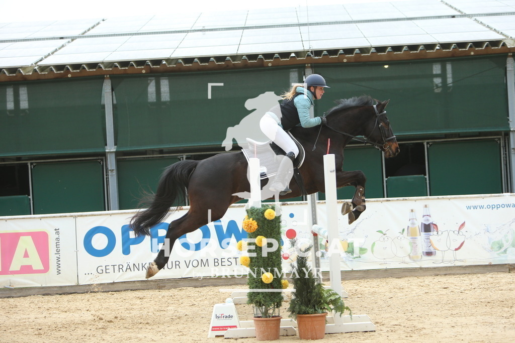 DL2Q6692 | Willkommen bei Brunnmayr - Design & Fotografie – Ihrem Spezialisten für Reitturniere und Pferdeveranstaltungen in Oberösterreich, Salzburg und Bayern! Seit über 17 Jahren sind wir leidenschaftlich dabei.