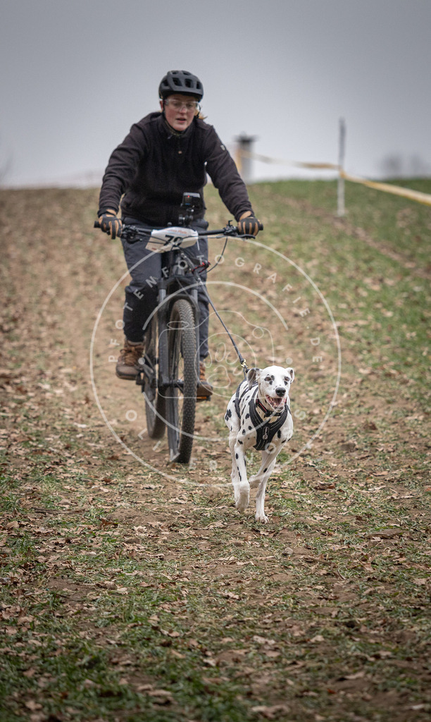 Pfotenfotografie_DV3A1746 | Hundefotografie, Tierfotograf, Pfotenfotografie, Fotoshooting Hund, Hunde Portrait, Hundesport, Hundeportraits, Heideshooting, Hunde, Sportfotograf, Hundefotograf, Turnierhundsport, THS,  - Realisiert mit Pictrs.com