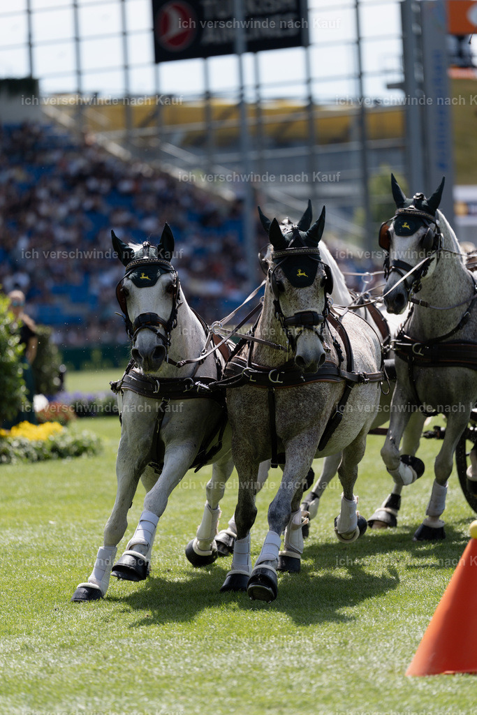 TSCHIO26_JandD_Stoibphotography_DSC7340.jpg | working equitationturnier fotograf videograf stoibphotography marixx film working equitation deutschland reitsport turnierfotografie eventfotografie equestrian events