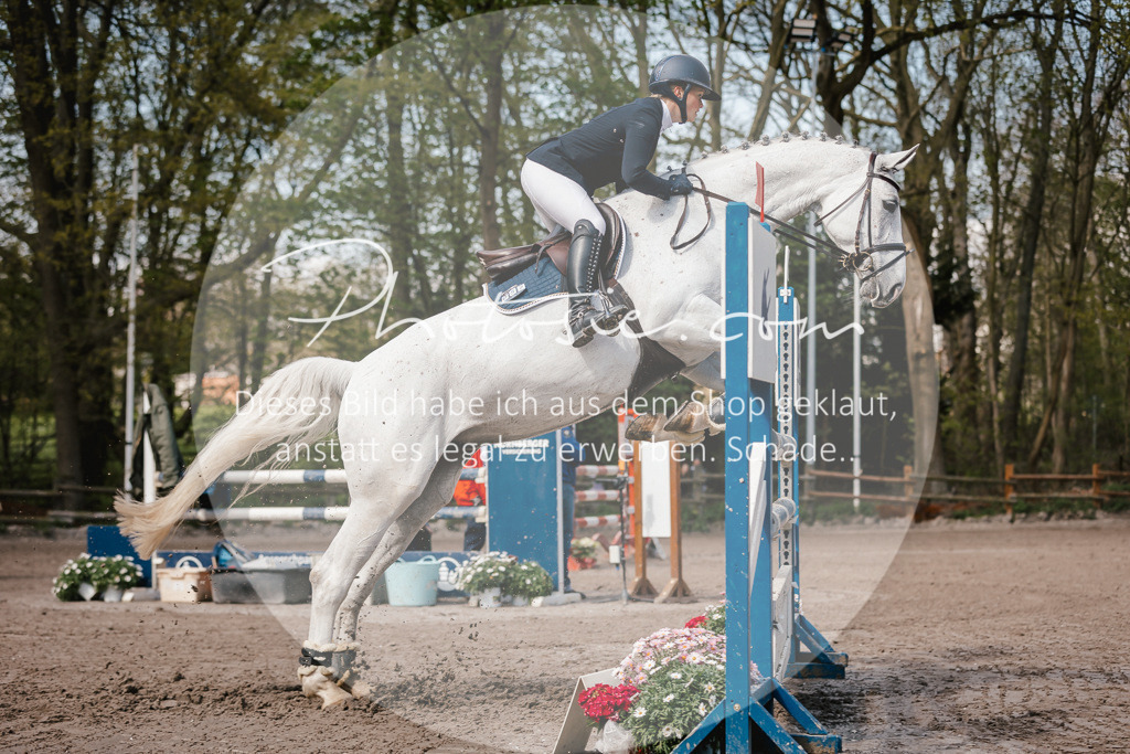 3I6A4097 | Stimmungsvolle Portraits und Reitsportfotografie im Ruhrgebiet und im Münsterland.

Pferdefotografie, Hundefotografie, Tierfotografie, Reportagen, Portraits von Tier und Mensch, Turnierfotografie in Bochum, Recklinghausen, Marl, Haltern am See, Dülmen.. - Realisiert mit Pictrs.com