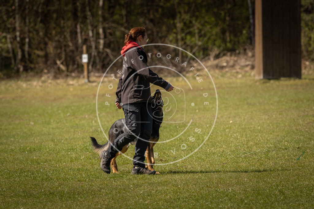 Pfotenfotografie_DV3A0943 | Hundefotografie, Tierfotograf, Pfotenfotografie, Fotoshooting Hund, Hunde Portrait, Hundesport, Hundeportraits, Heideshooting, Hunde, Sportfotograf, Hundefotograf, Turnierhundsport, THS,  - Realisiert mit Pictrs.com