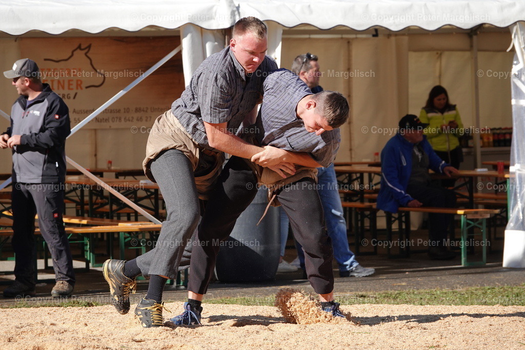 DSC00010 | Schwingen - Realisiert mit Pictrs.com